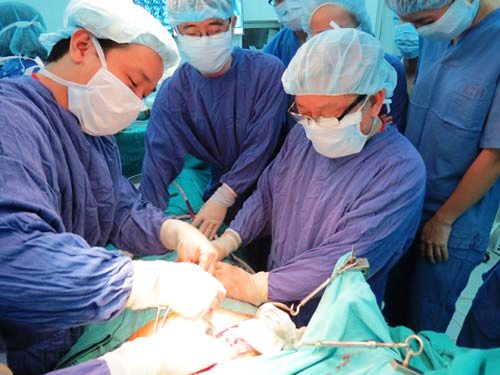 การปลูกถ่ายอวัยวะเป็นผลสำเร็จที่สำคัญของหน่วยงานสาธารณสุขเวียดนาม